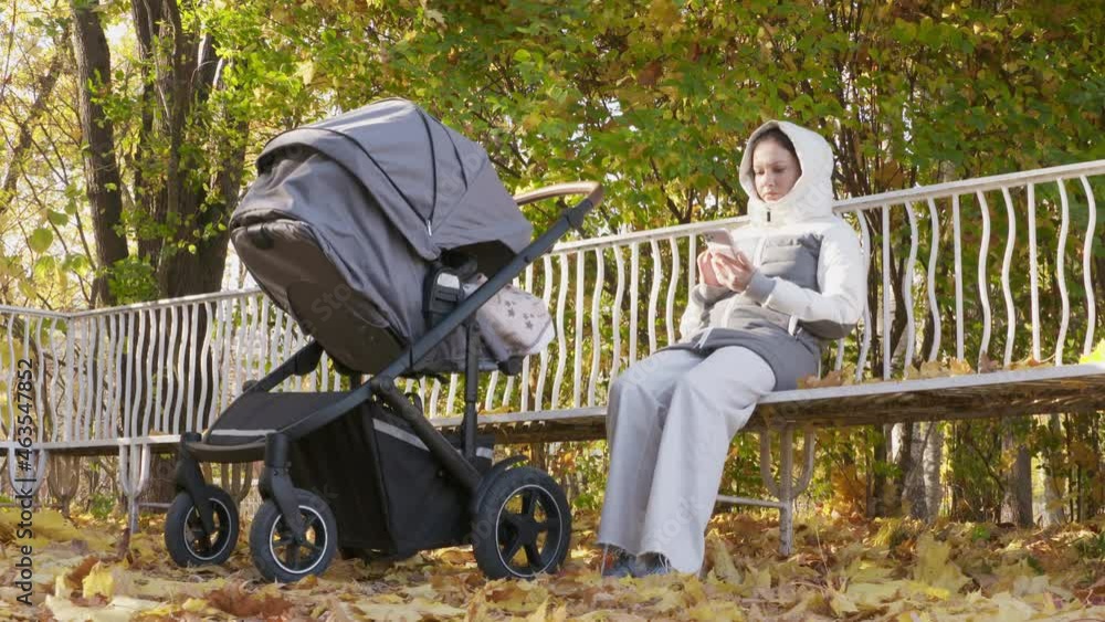 Mother with baby stroller on a walk in the park in autumn, mom sitting on park bench in Catherine Park in the town of Tsarskoye Selo, Pushkin. High quality 4k footage Mother with baby stroller on a walk in the park in autumn, mom sitting on park bench in Catherine Park in the town of Tsarskoye Selo, Pushkin. High quality 4k footage