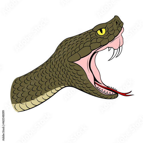 Viper Head with opened mouth in attack. Vector clipart.