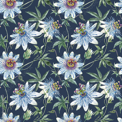 Beautiful floral seamless pattern with hand drawn watercolor blue passionflowers. Stock illustration.