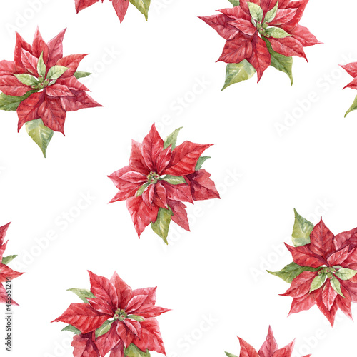 Beautiful floral christmas seamless pattern with hand drawn watercolor winter flowers such as red poinsettia. Stock 2022 winter illustration.