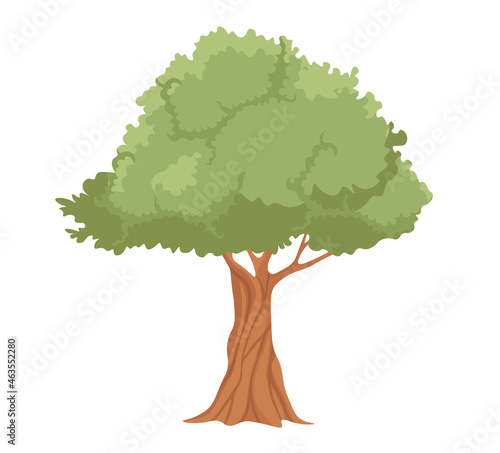 Olive Tree with Powerful Trunk and Branches with Green Leaves. Sprawling Plant for Olive Oil Extraction, Isolated Label