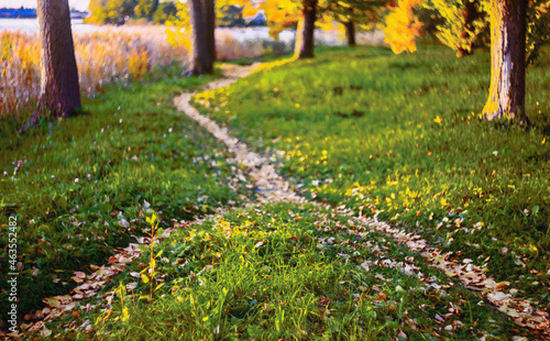 Two paths, covered with fallen autumn leaves, merged into one among the grass and trees by the river.