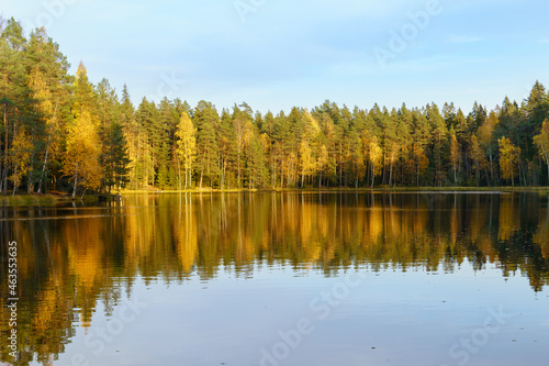 Beautiful autumn landscape with forest lake on sunset. Colored yellow trees and clear blue sky reflecting in still water. Fall in woods. Nature beauty in october. Relaxation and inspiration concept