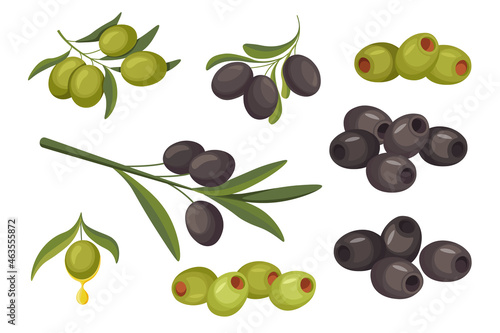 Set Black or Green Olive Berries Natural Vegetable, Healthy Food. Organic Ripe Plant on Stem With Leaves, Eco Production