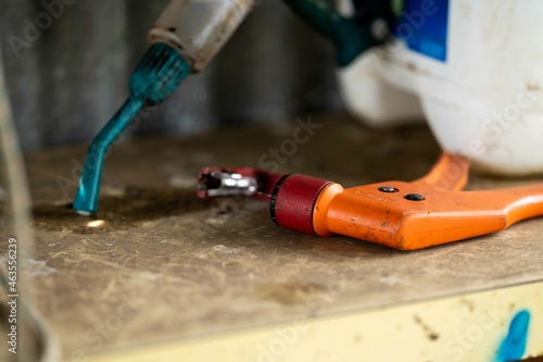 ear tagging equipment and worm drenching gun rady to treat cows and sheep in Australia in the cattle yards photo