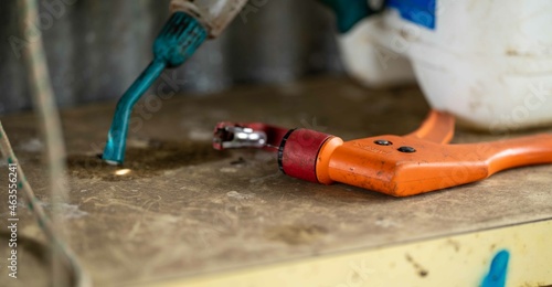 ear tagging equipment and worm drenching gun rady to treat cows and sheep in Australia in the cattle yards