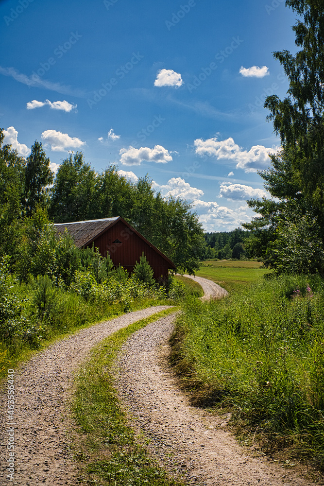 a path in smalland sweden through meadows, fields and forests. a path in smalland sweden through meadows, fields and forests.