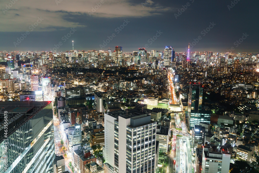 Obraz premium 東京 夜景