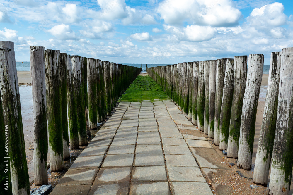 Obraz premium View on wooden poles at white sandy North sea beach near Zoutelande, Zeeland, Netherlands