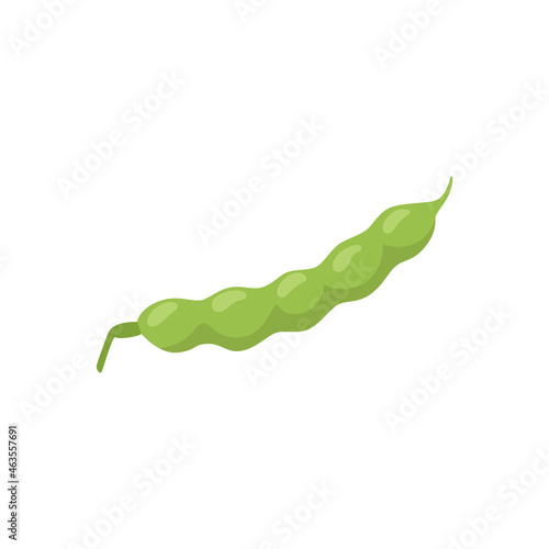 Green fresh young bean or pea pod one isolated on white background. Vector flat cartoon illustration of bean pod for healthy vegetarian food packaging design.