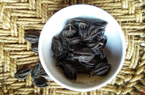 Tiger's Claw, Devil's Claw (Martynia annua L.), seeds. Used as a medicine in India, ancient Ayurvedic therapies. photo