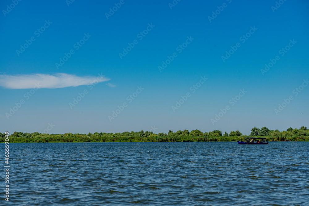 Landscape with waterline, birds, reeds and vegetation in Danube Delta, Romania Landscape with waterline, birds, reeds and vegetation in Danube Delta, Romania