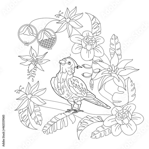 Contour linear illustration for coloring book with paradise bird in flowers. Tropic parrot,  anti stress picture. Line art design for adult or kids  in zen-tangle style, tattoo and coloring page.
