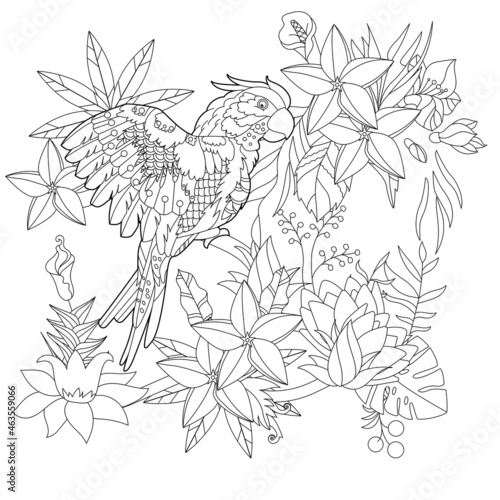 Contour linear illustration for coloring book with paradise bird in flowers. Tropic parrot,  anti stress picture. Line art design for adult or kids  in zen-tangle style, tattoo and coloring page.