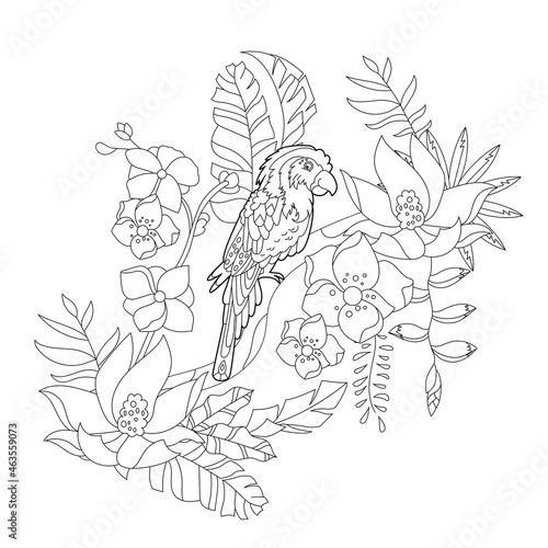 Contour linear illustration for coloring book with paradise bird in flowers. Tropic parrot, anti stress picture. Line art design for adult or kids in zen-tangle style, tattoo and coloring page.