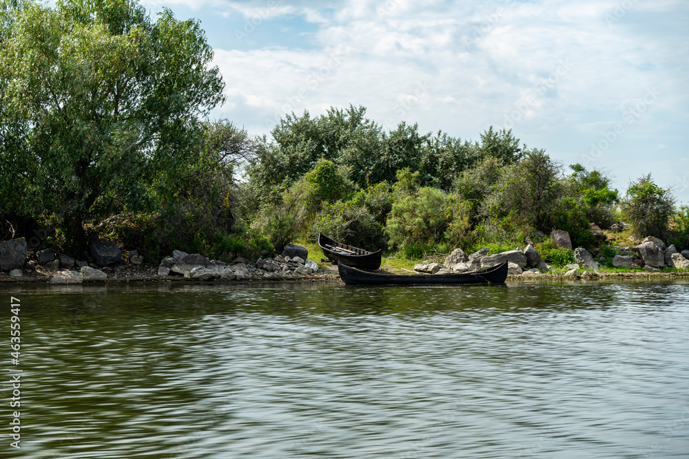 Landscape with waterline,  birds,  reeds and vegetation in Danube Delta,  Romania