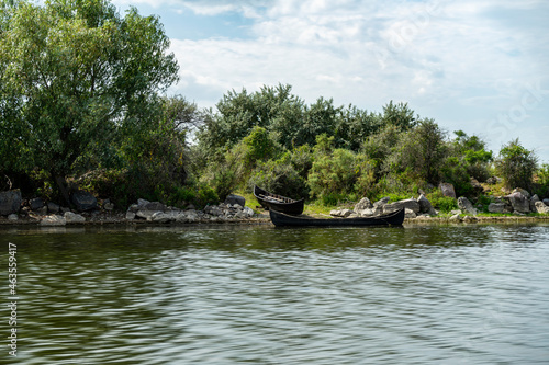 Landscape with waterline,  birds,  reeds and vegetation in Danube Delta,  Romania