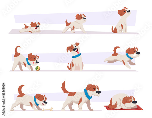 Dog growth stages. Cartoon domestic animal puppy life progress pictures happy active puppy and tired old dog exact vector illustration set