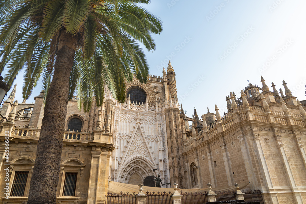 The facade of the famous gothic cathedral of Seville, Andalucia, Spain. Palm tree with green leaves in the foreground. Blue sky on the background. The facade of the famous gothic cathedral of Seville, Andalucia, Spain. Palm tree with green leaves in the foreground. Blue sky on the background.