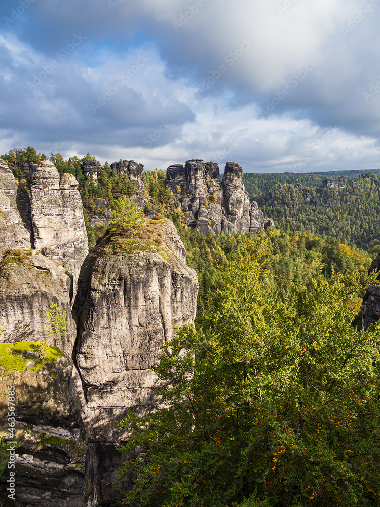 Blick auf Felsen und Bäume in der Sächsische Schweiz