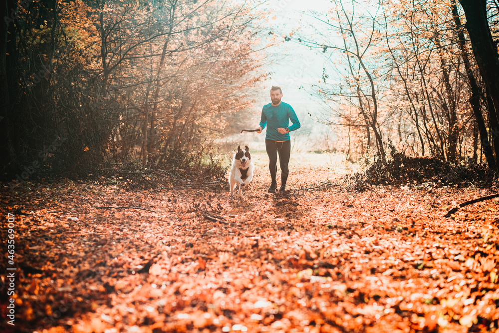 Fototapeta premium happy dog and man playing in autumn forest