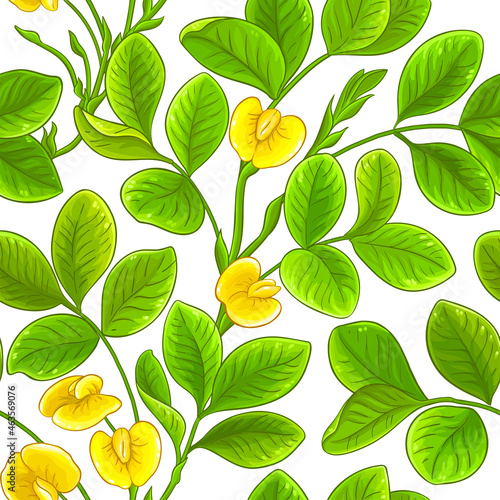 peanut vector pattern on white background