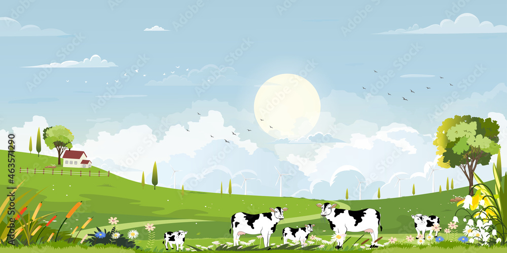 Spring green fields landscape with mountain, blue sky and clouds background,Panorama peaceful rural nature in springtime with green grass land. Cartoon vector illustration for spring and summer banner