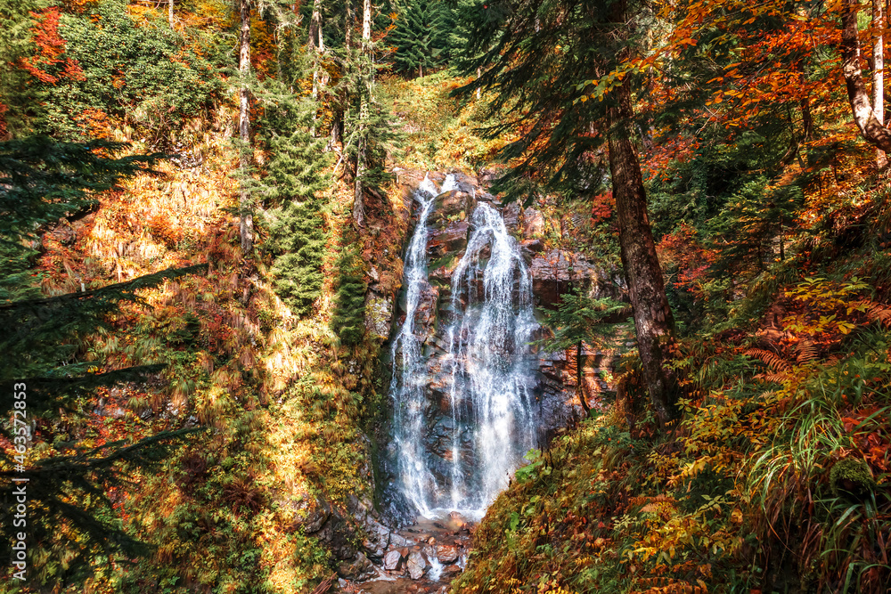 Autumn landscape with a forest waterfall. Autumn landscape with a forest waterfall.