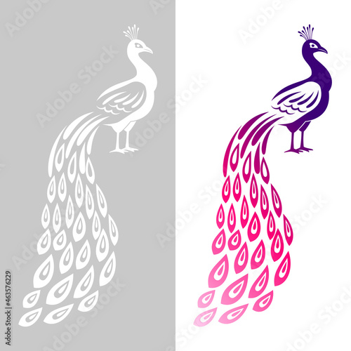 Peacock wedding symbol. Abstract peecoock design cutting signs, monochrome and color decorative peachock birds, indian noble plume peacocck drawn animal with feathers ornament for logo