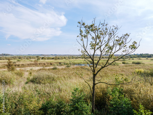 View of National Park Alde Feanen in Friesland  Netherlands