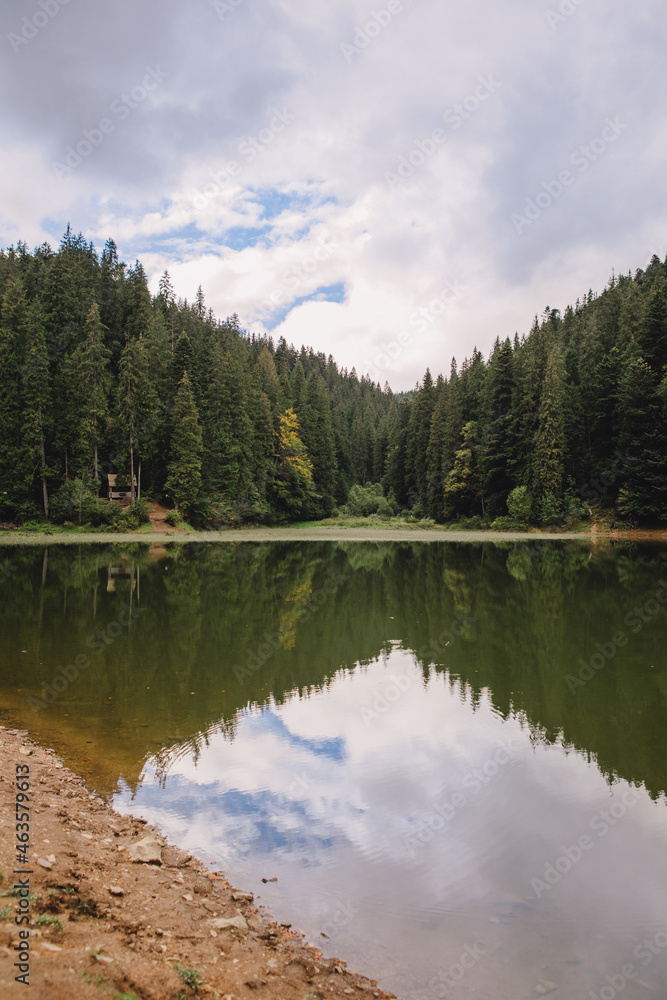 Fototapeta premium ukrainian carpathian lake synevyr