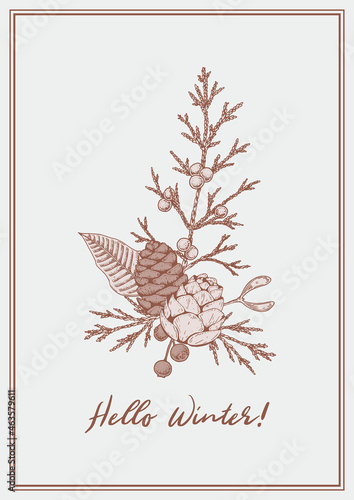 Hand drawn vertical Merry Christmas and Happy New Year greeting card with conifer cones and juniper branches. Vintage vector illustration