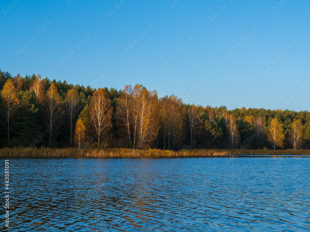 Obraz premium Colorful autumn forest by the lake