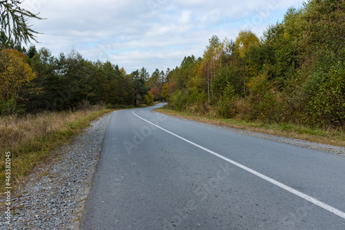 Asphalt road in the autumn forest