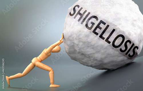 Shigellosis - depiction, impression and presentation of this condition shown a wooden model pushing heavy weight to symbolize struggle and pain when dealing with Shigellosis, 3d illustration photo