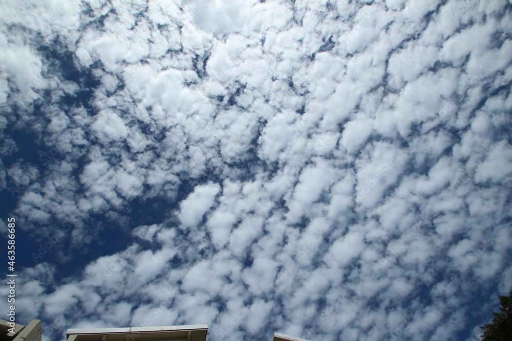Fototapeta premium sky with white clouds on a hot day