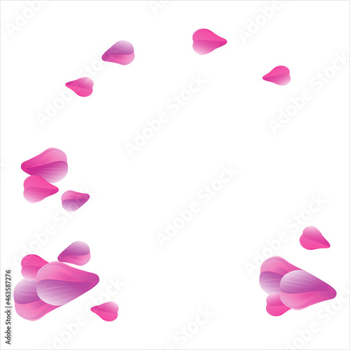 Flowers frame. Pink petals isolated on white background. Vector
