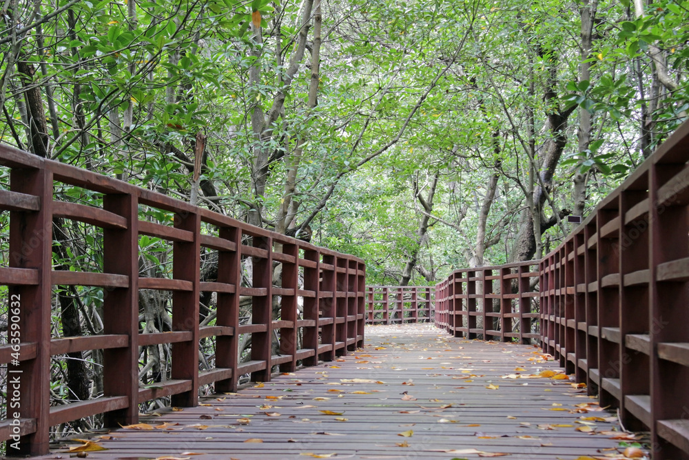 View along a wooden pedestrian walkway with fence and leaves on the ground in a tropical forest