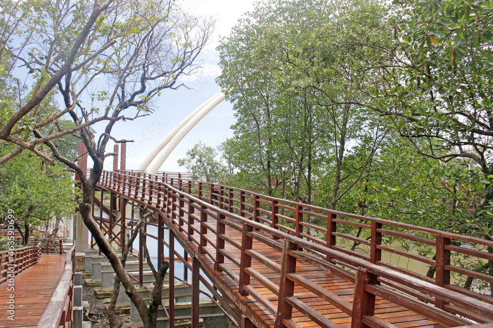 Obraz premium Incline in a raised wooden pedestrian walkway throuh a forest