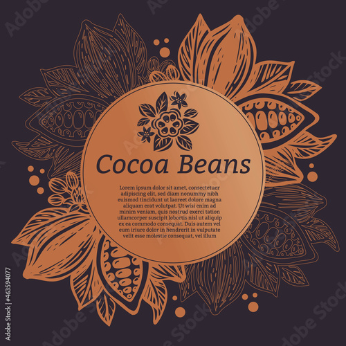 Design template for cocoa packaging. Cocoa beans and leaves. Vector illustration.