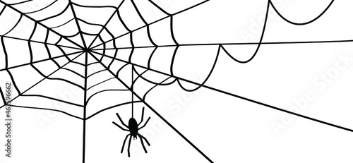 Cartoon  spider web for happy halloween party, october. Flat vector cobweb background. insect pictogram or logo. Drawing  line pattern.