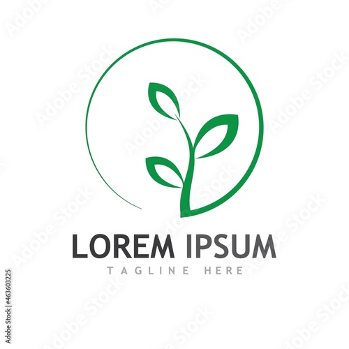 leaf logo and vector images