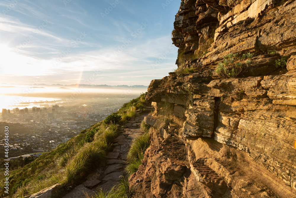 Fototapeta premium Lions Head
