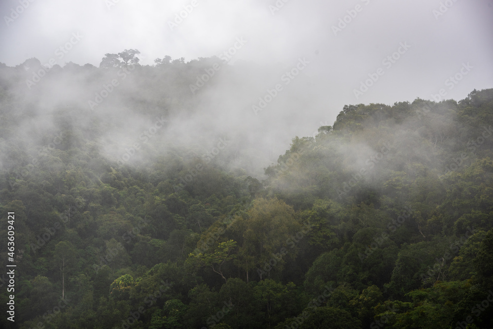 Misty mountain landscape hills at rainy day