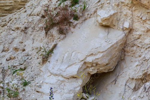 Limestone in the wild. Beautiful landscape background with natural stone. photo