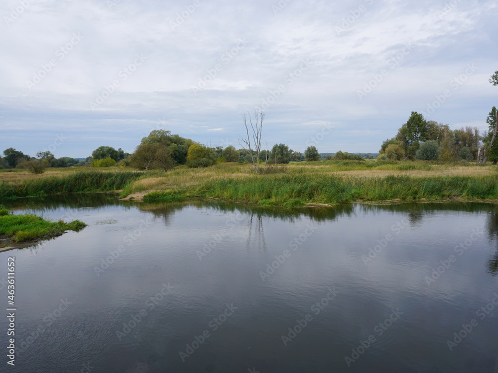 Fototapeta premium kleiner See im Unteren Odertal in Brandenburg in Deutschland