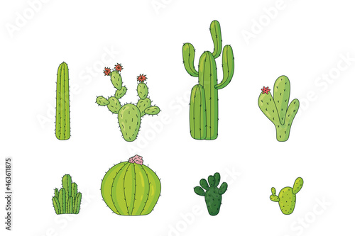 Set of different vector colorful cacti desert plants, hand drawn style vector illustration isolated on white background. Cactus icon for greeting card and invitations.