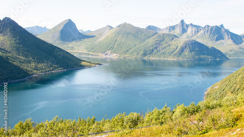 Typische norwegische Fjord Landschaft