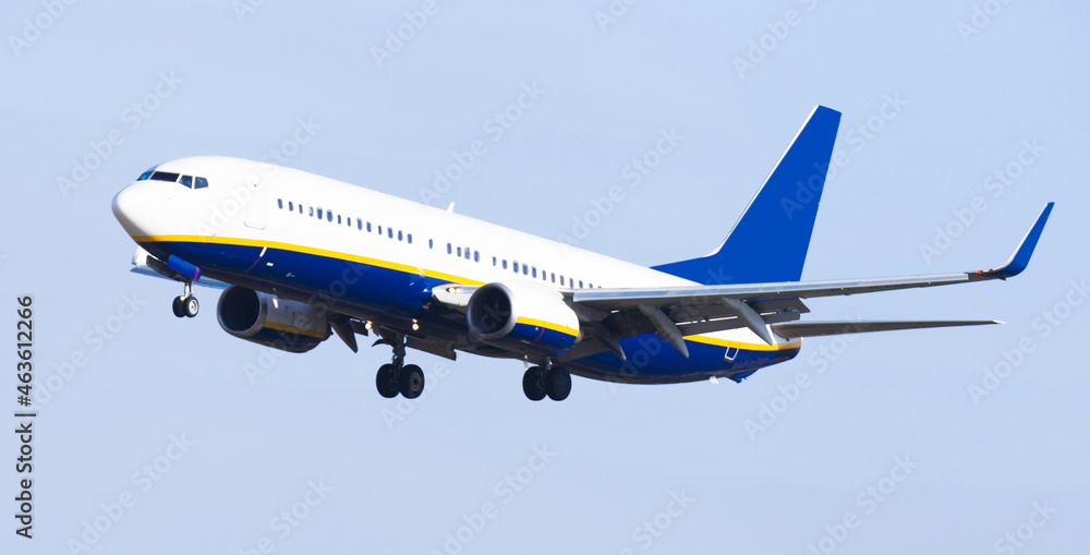 Obraz premium passenger plane lands at airport