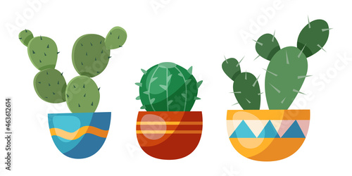 A set of different cactus.A set of different indoor plants in pots. Houseplant care tools.Vector cartoon isolated on white background,flat style